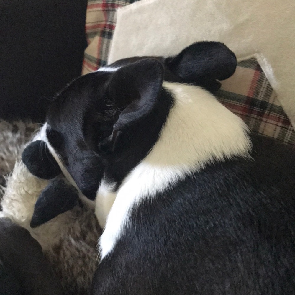 Meet your Posher, Kat